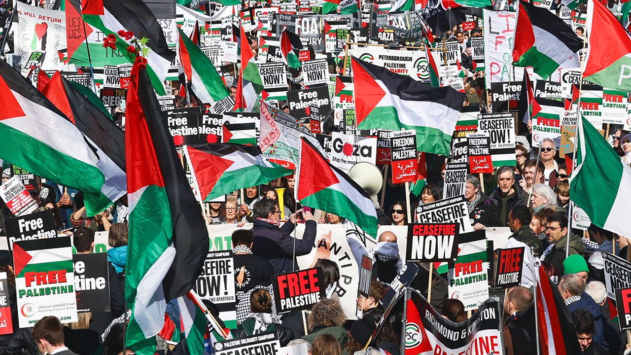 Demonstrators wave flags and placards at a pro-Palestinian protest