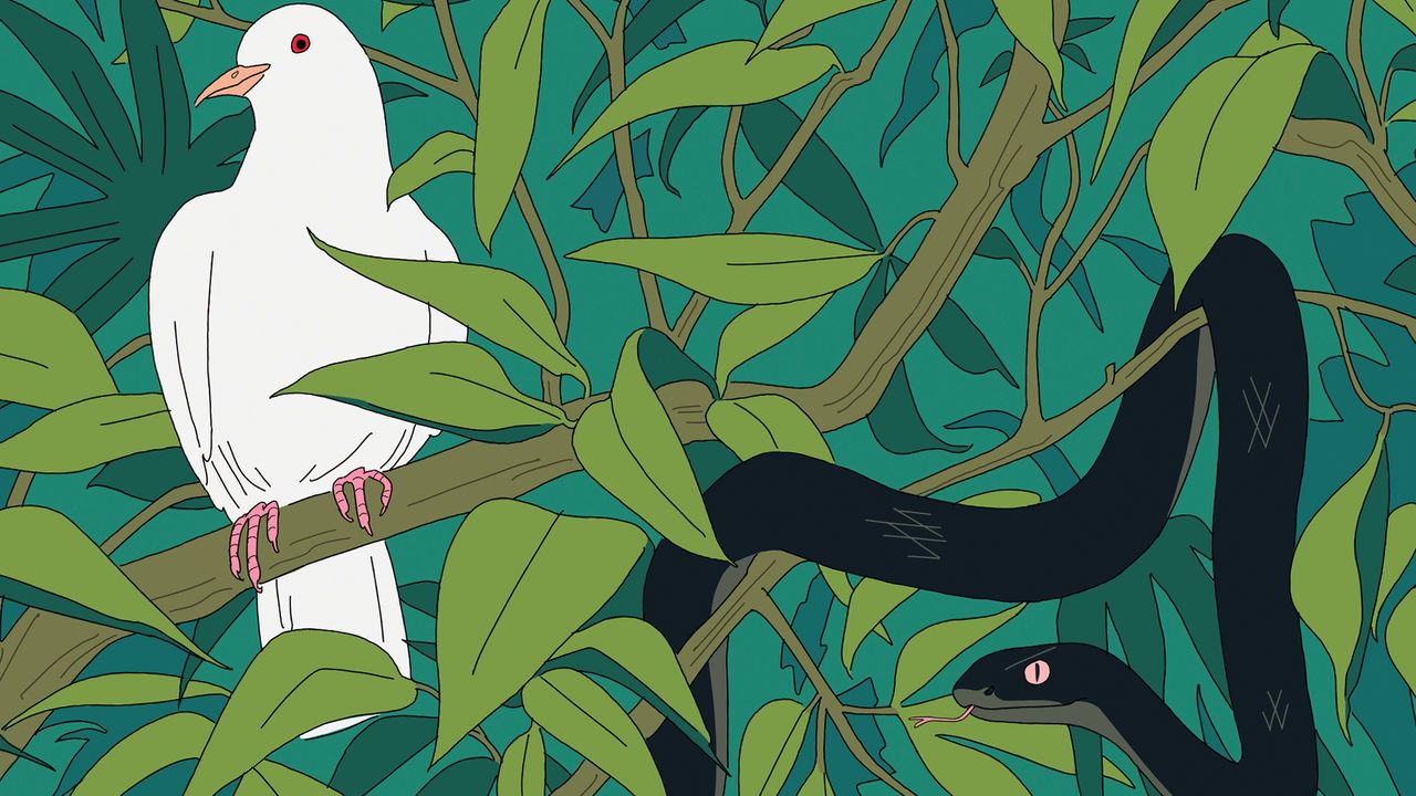 This illustration shows a dove perched on a branch in a dense jungle with green leaves. A black snake with red eyes and a forked tongue is coiled around the same branch, appearing to face the bird. The scene is set against a deep green background of leaves